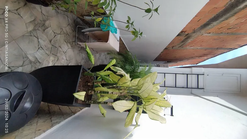 Casa, 2 quartos, 80 m² - Foto 2
