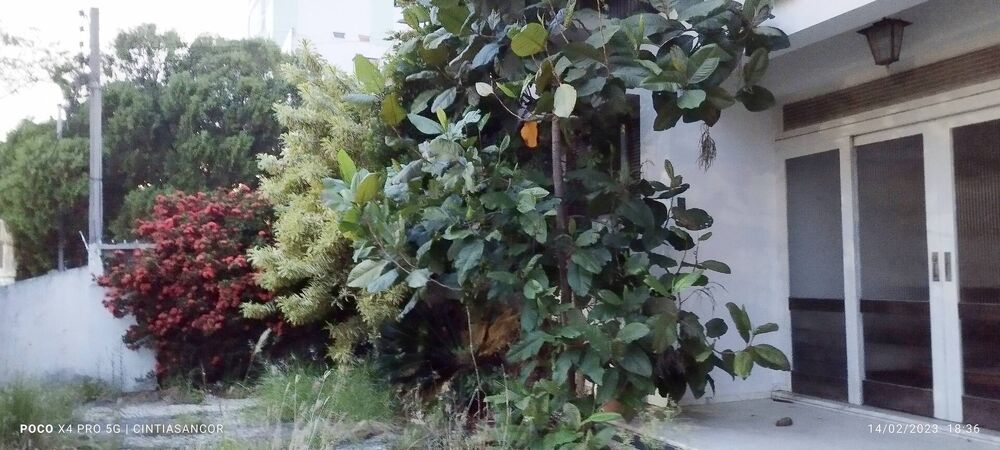 Casa para alugar com 4 quartos, 300m² - Foto 3
