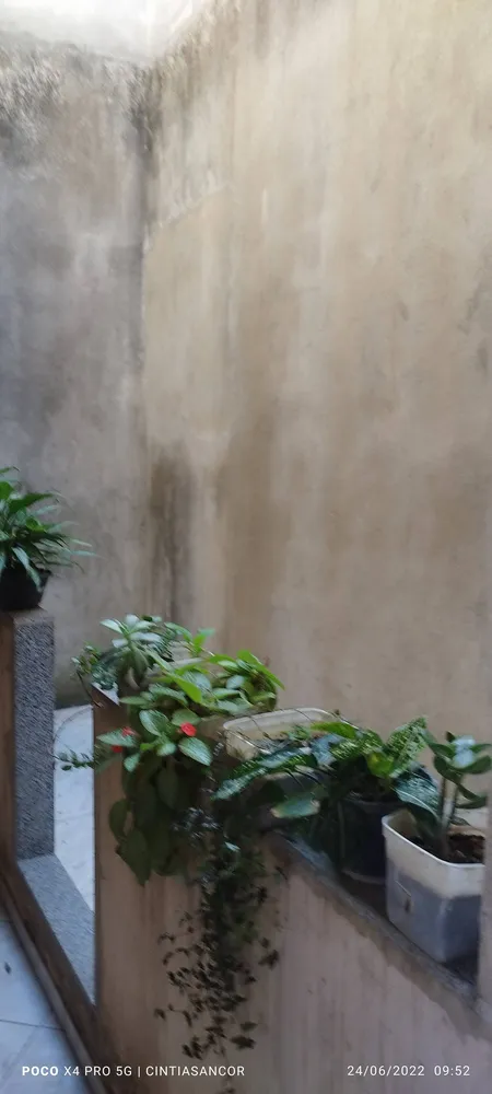 Casa, 3 quartos - Foto 19