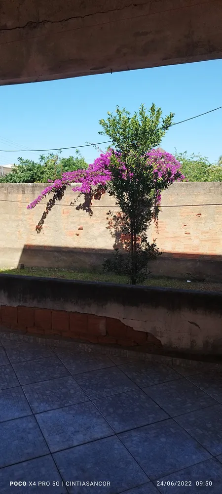 Casa, 3 quartos - Foto 22