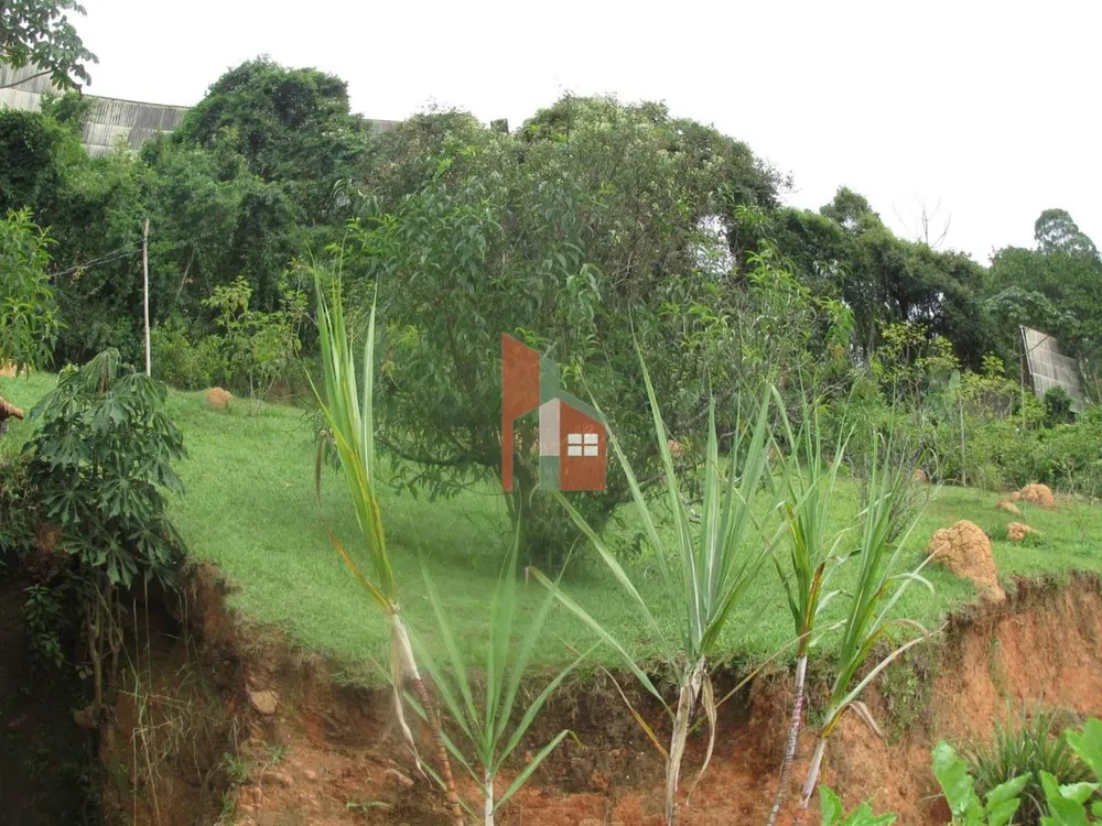 Sítio, 5 quartos, 3 hectares - Foto 7