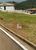 Terreno, 600 m² - Foto 3