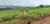 Terreno, 250 m² - Foto 3