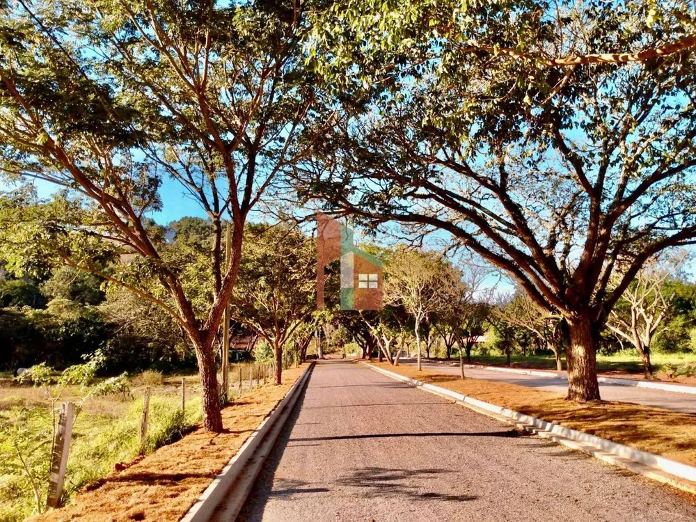 Terreno, 300 m² - Foto 9