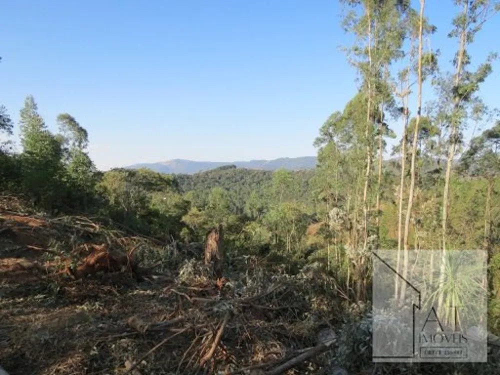 Terreno, 3000 m² - Foto 8