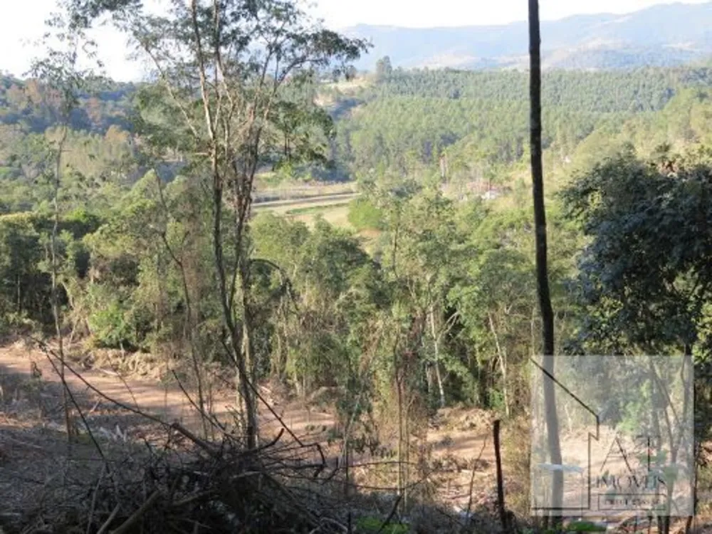 Terreno, 3000 m² - Foto 6