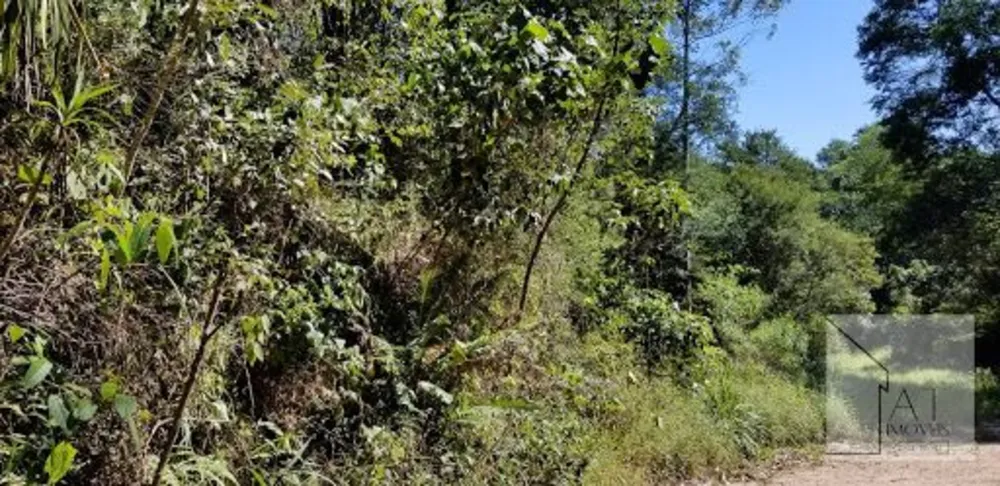 Terreno, 3000 m² - Foto 1