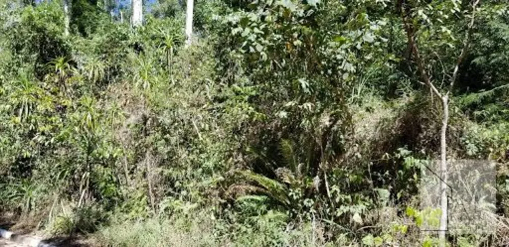 Terreno, 3000 m² - Foto 7