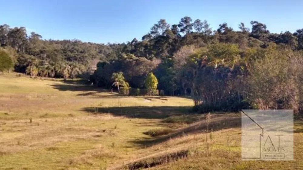 Terreno, 3000 m² - Foto 5