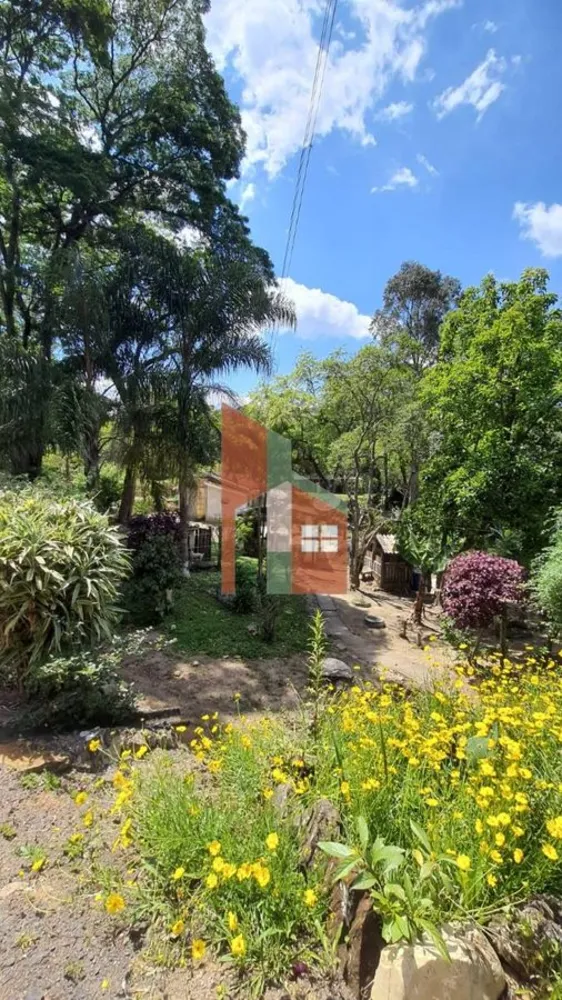 Terreno, 19 hectares - Foto 7