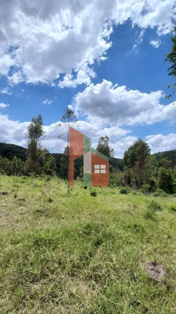 Terreno, 19 hectares - Foto 1