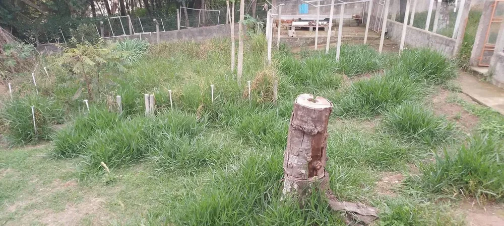 Terreno - Foto 2