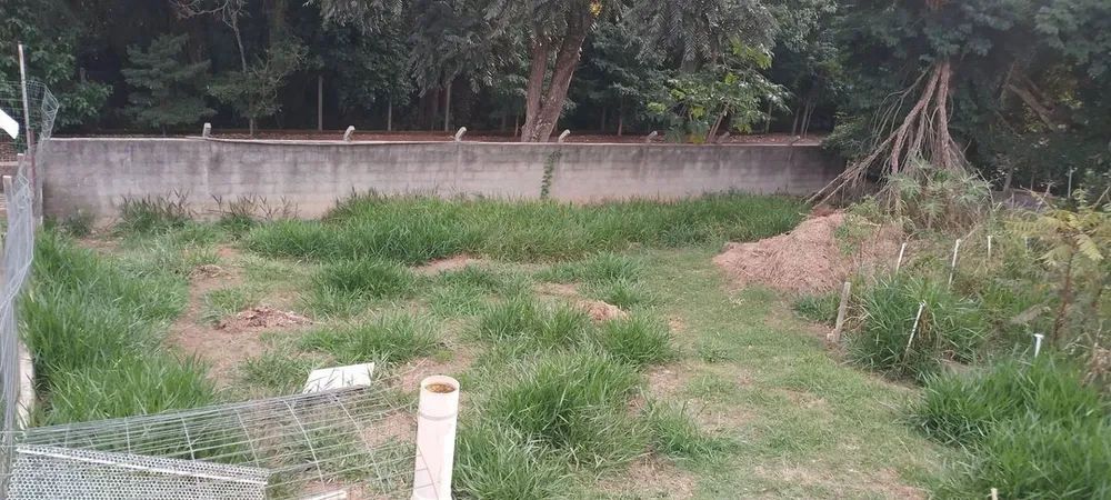Terreno - Foto 6
