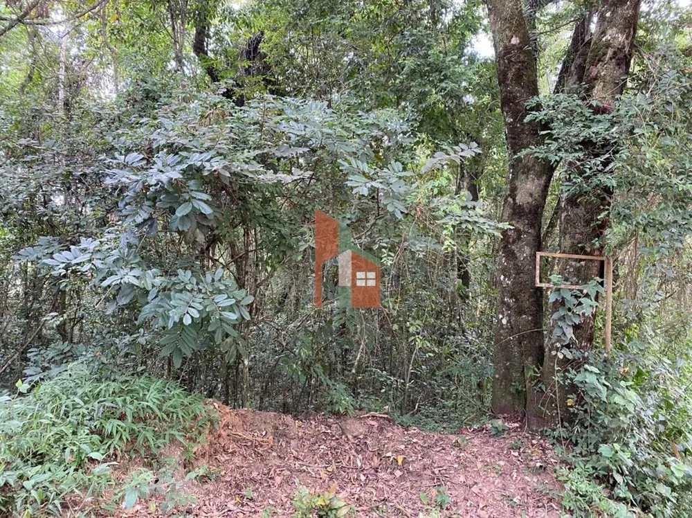 Terreno, 1025 m² - Foto 5
