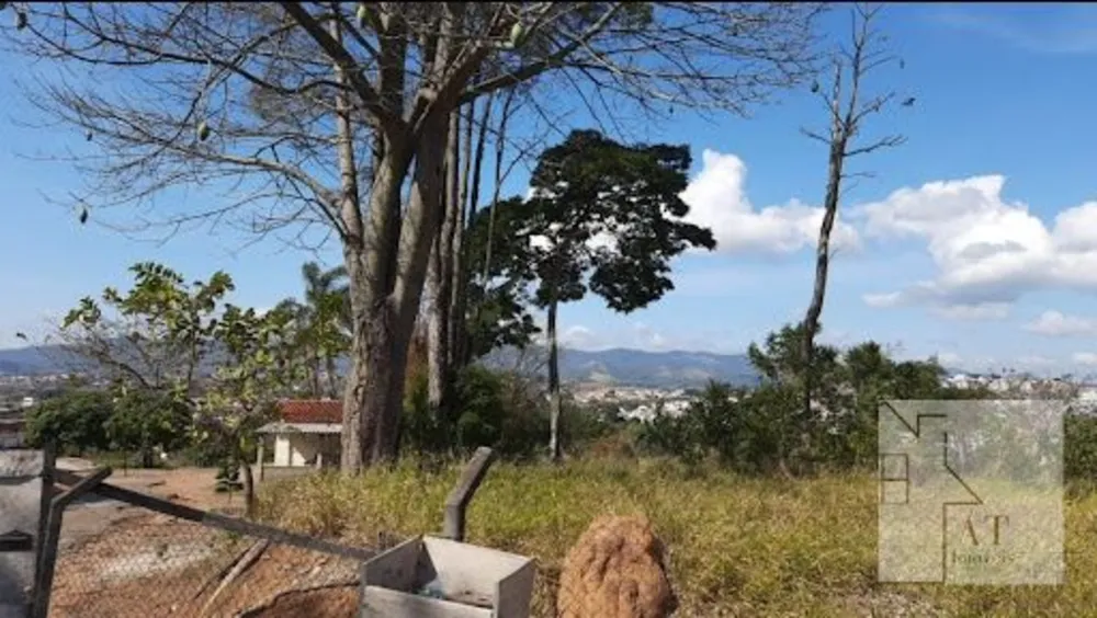 Terreno, 5 hectares - Foto 7