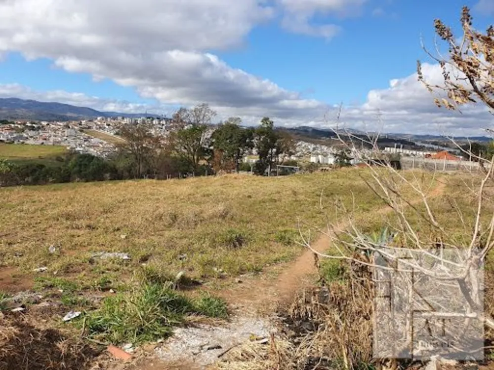 Terreno, 5 hectares - Foto 6