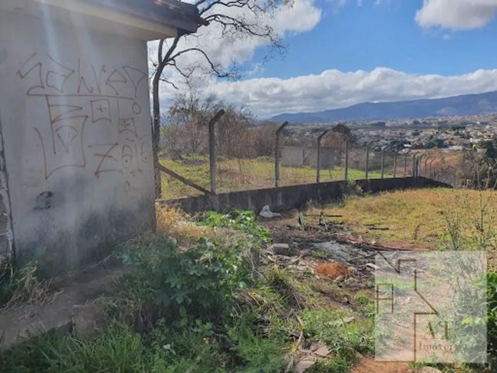 Terreno, 5 hectares - Foto 4