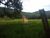 Terreno, 6 hectares - Foto 4