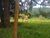 Terreno, 6 hectares - Foto 2