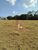 Terreno, 6 hectares - Foto 1