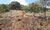 Terreno, 1237 m² - Foto 2