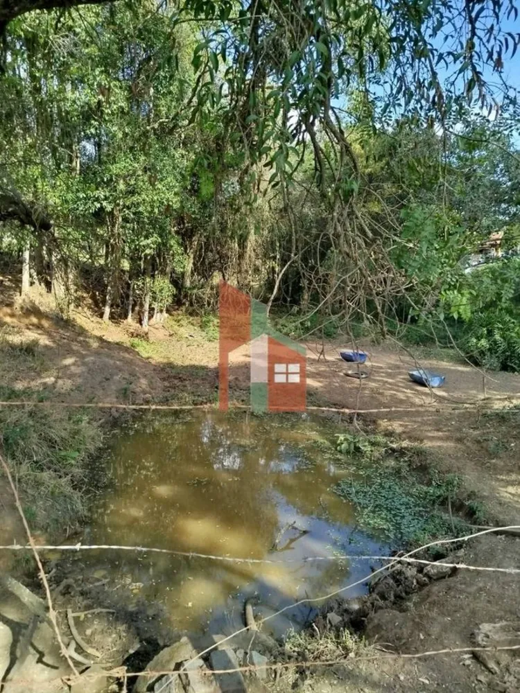 Terreno, 6 hectares - Foto 6