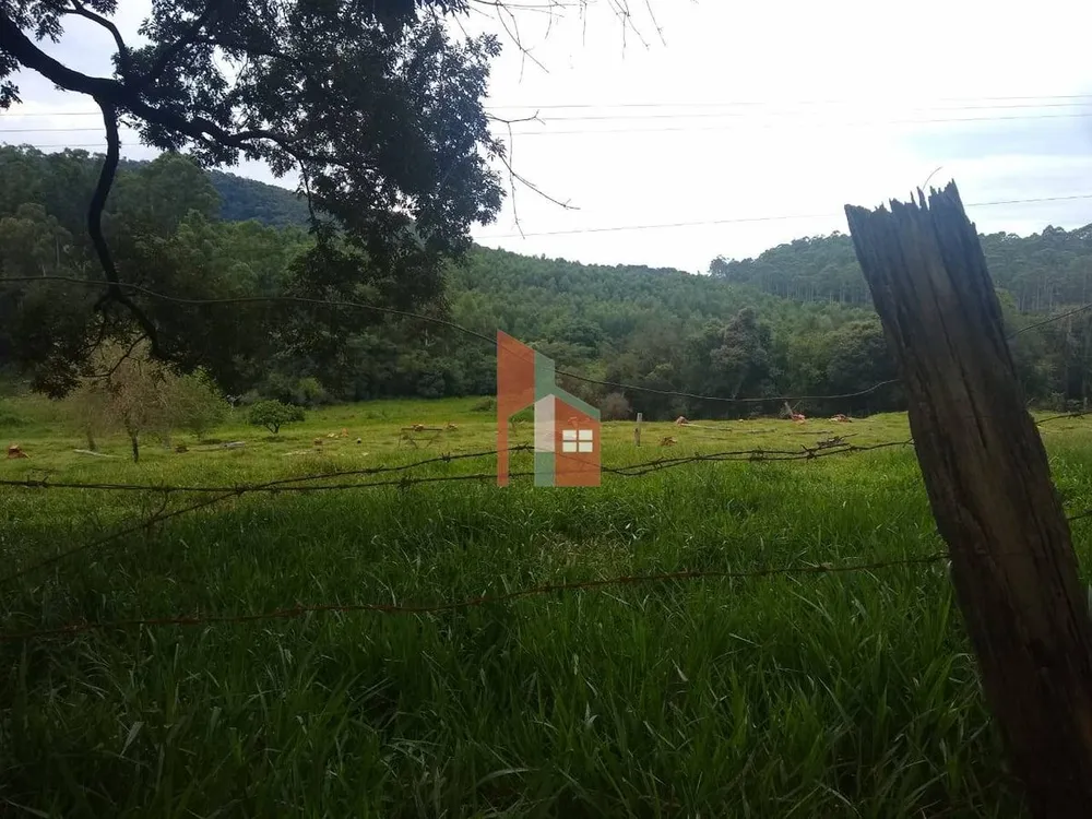Terreno, 6 hectares - Foto 3