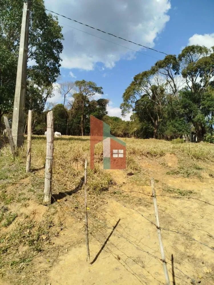 Terreno, 6 hectares - Foto 8