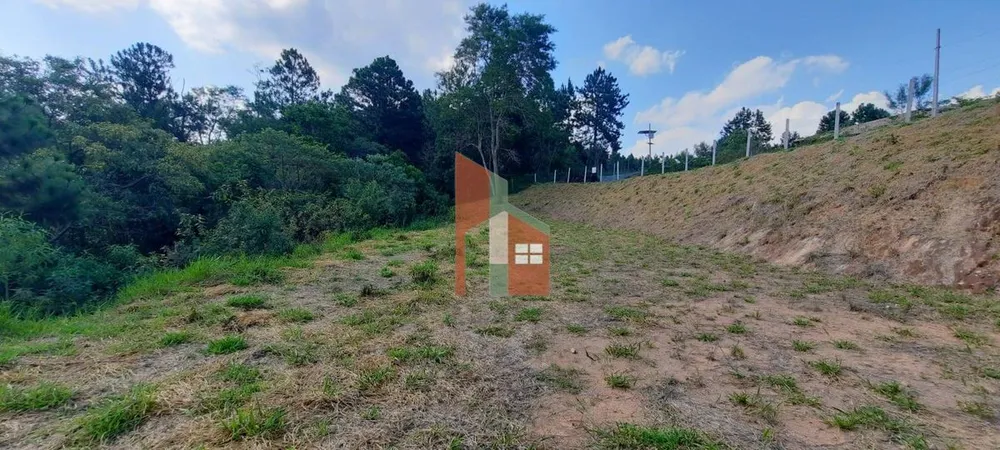Terreno, 3203 m² - Foto 8