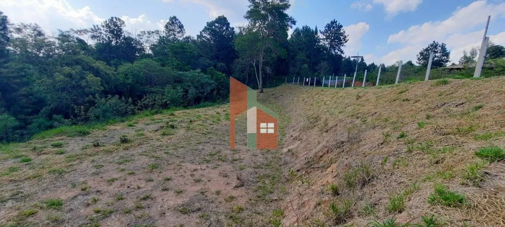 Terreno, 3203 m² - Foto 7