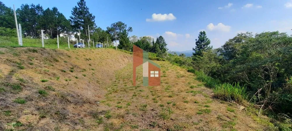 Terreno, 3203 m² - Foto 3