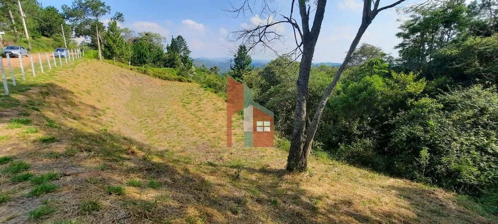 Terreno, 3203 m² - Foto 5