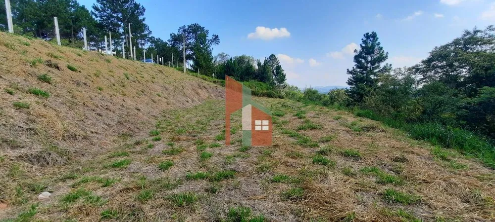 Terreno, 3203 m² - Foto 1