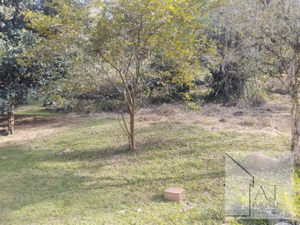 Terreno, 2516 m² - Foto 4