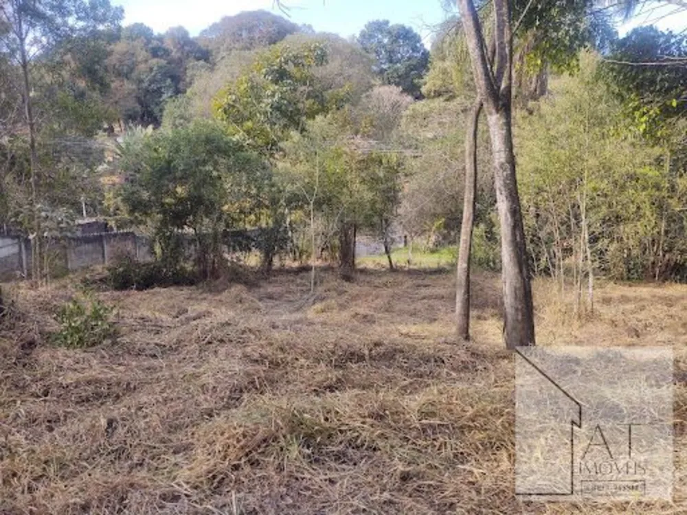 Terreno, 2516 m² - Foto 6