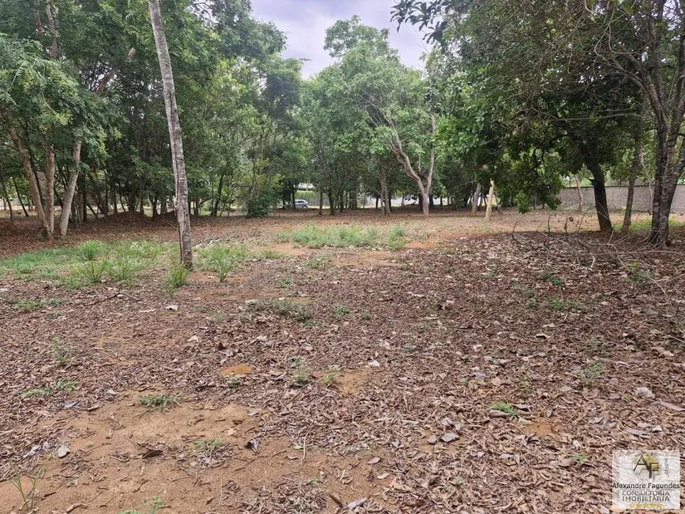 Terreno, 1730 m² - Foto 13