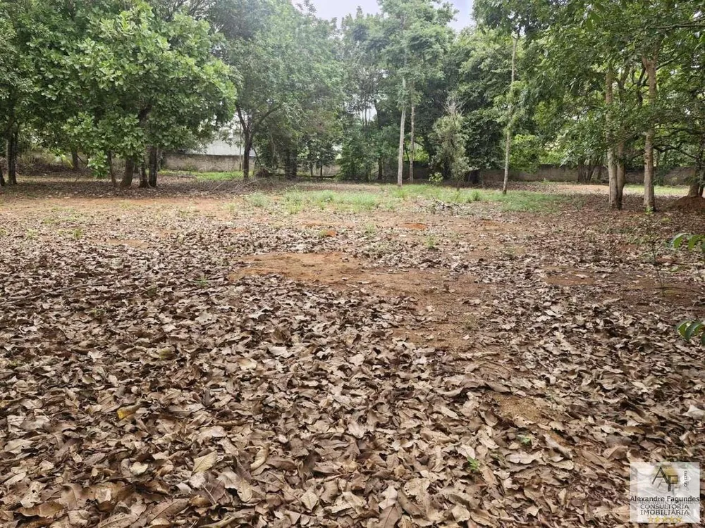Terreno, 1730 m² - Foto 12
