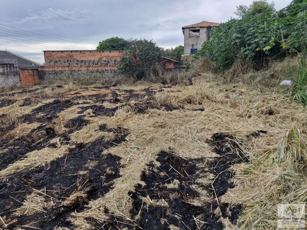 Terreno, 375 m² - Foto 6
