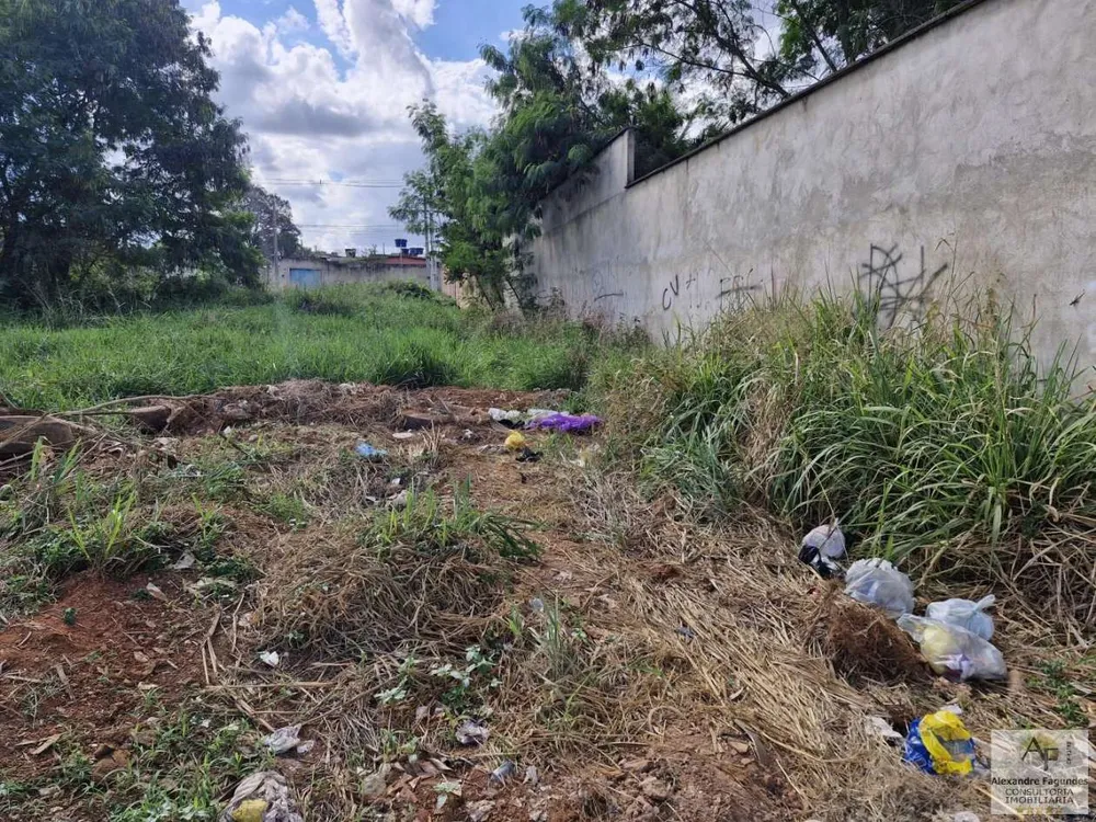 Terreno, 390 m² - Foto 7