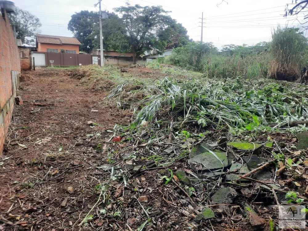 Terreno à venda, 390m² - Foto 8