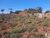 Terreno, 360 m² - Foto 3