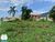 Terreno, 300 m² - Foto 3