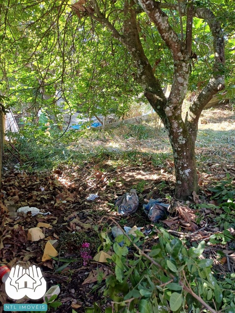 Terreno, 740 m² - Foto 7