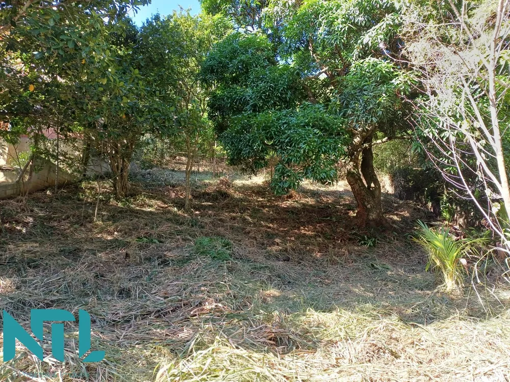 Terreno, 740 m² - Foto 13