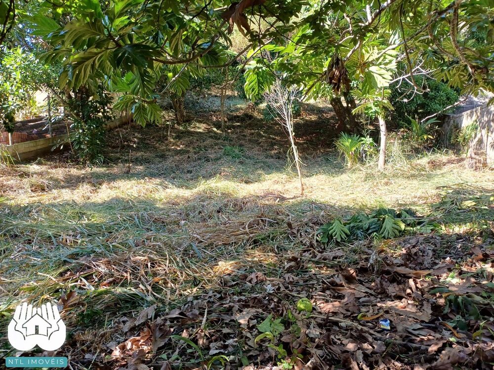 Terreno, 740 m² - Foto 6