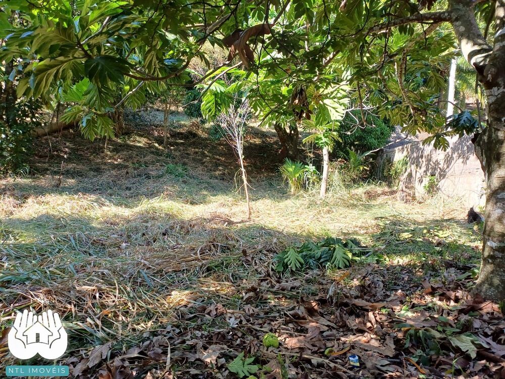 Terreno, 740 m² - Foto 5