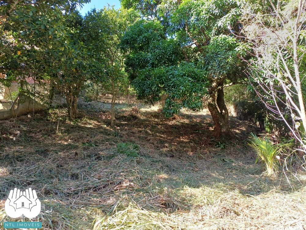 Terreno, 740 m² - Foto 4