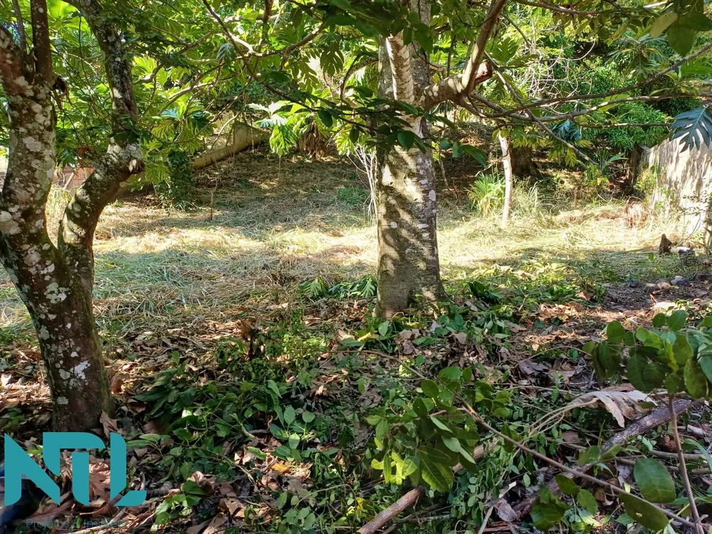 Terreno, 740 m² - Foto 11