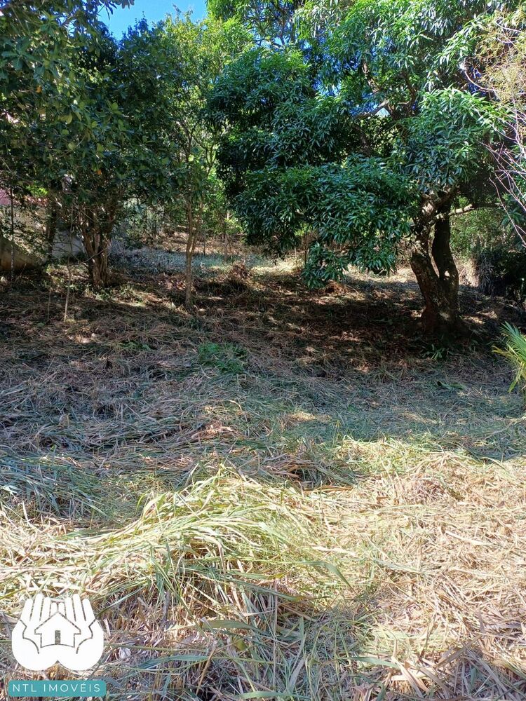 Terreno, 740 m² - Foto 2