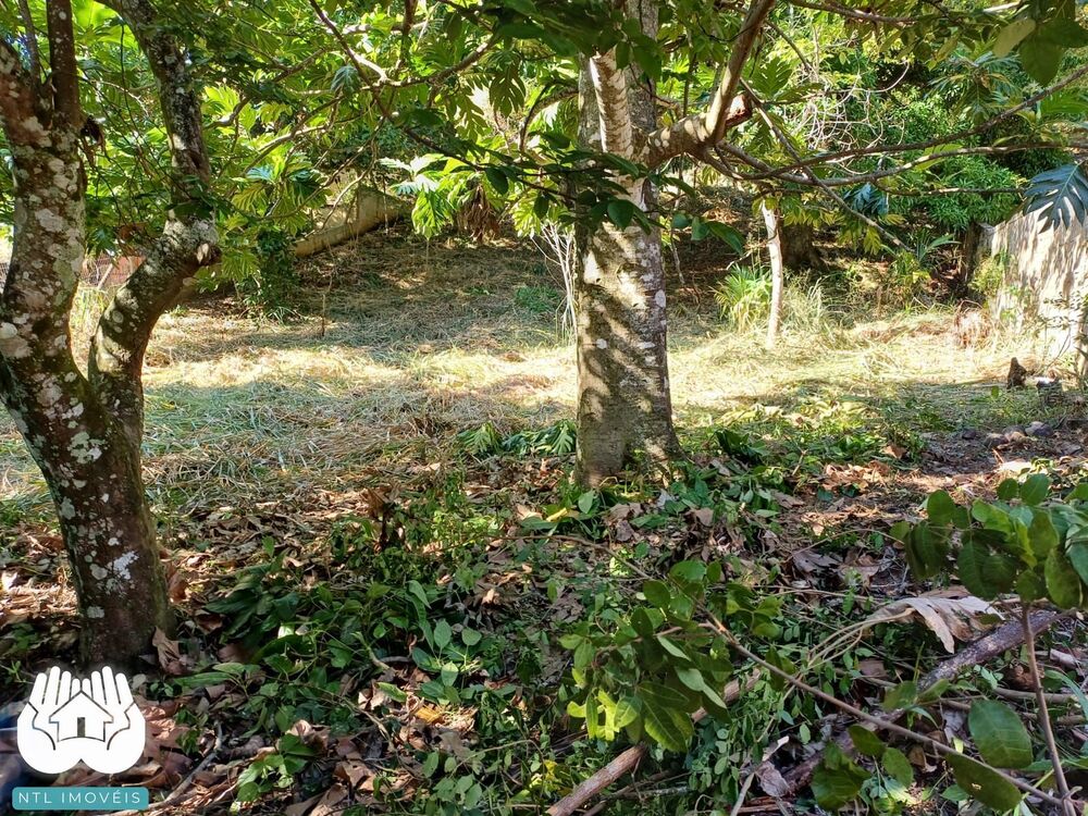 Terreno, 740 m² - Foto 3